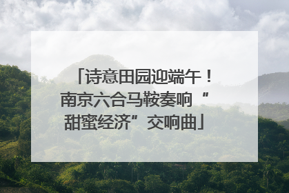 诗意田园迎端午！南京六合马鞍奏响“甜蜜经济”交响曲